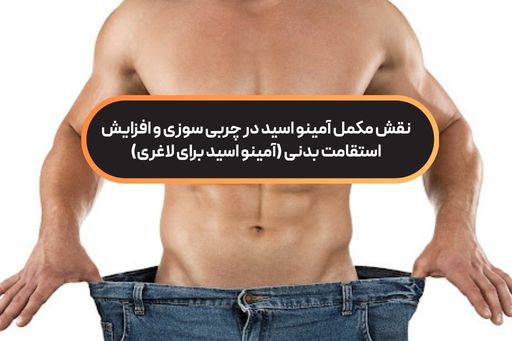نقش مکمل آمینو اسید در چربی‌ سوزی و افزایش استقامت بدنی (آمینو اسید برای لاغری)